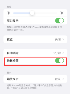 永嘉苹果授权维修站分享iPhone轻点无法唤醒怎么办