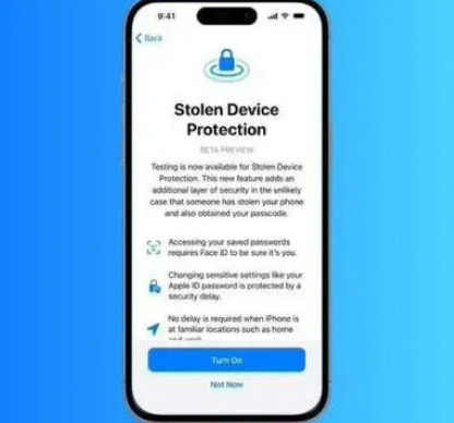 永嘉苹果授权维修店分享被盗设备保护功能开启方法 