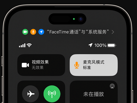 永嘉苹果授权维修网点分享iPhone在通话时让你的声音更清晰 