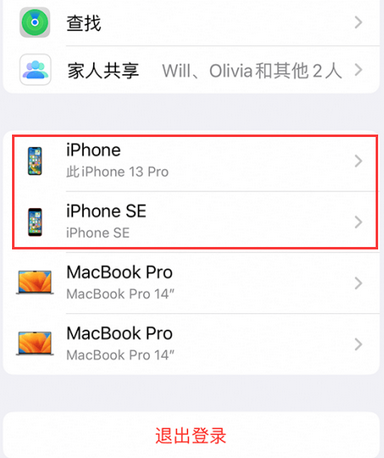 永嘉苹永嘉果维修网点分享iPhone如何查询序列号