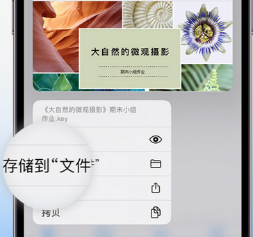 永嘉apple维修中心分享iPhone文件应用中存储和找到下载文件