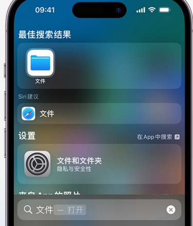 永嘉apple维修中心分享iPhone文件应用中存储和找到下载文件 