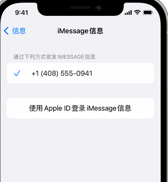 永嘉apple维修iPhone上无法正常发送iMessage信息