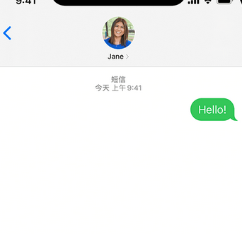 永嘉apple维修iPhone上无法正常发送iMessage信息