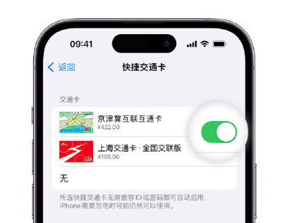 永嘉apple维修点分享iPhone上更换Apple Pay快捷交通卡手绘卡面 