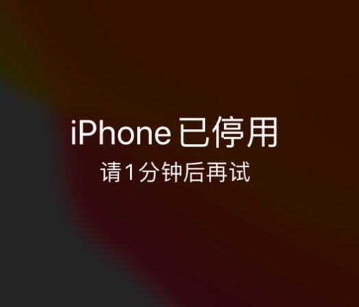 永嘉苹果手机维修分享:iPhone 显示“不可用”或“已停用”怎么办？还能保留数据吗？ 