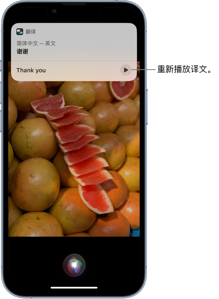永嘉苹果14维修分享 iPhone 14 机型中使用 Siri：了解 Siri 能帮你做什么 