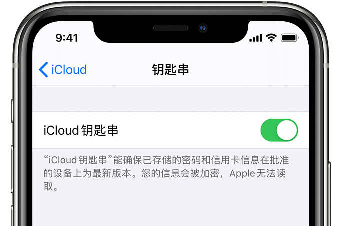 永嘉苹果手机维修分享在 iPhone 上开启 iCloud 钥匙串之后会储存哪些信息 