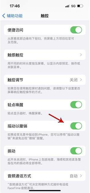 永嘉苹果手机维修分享iPhone手机如何设置摇一摇删除文字 